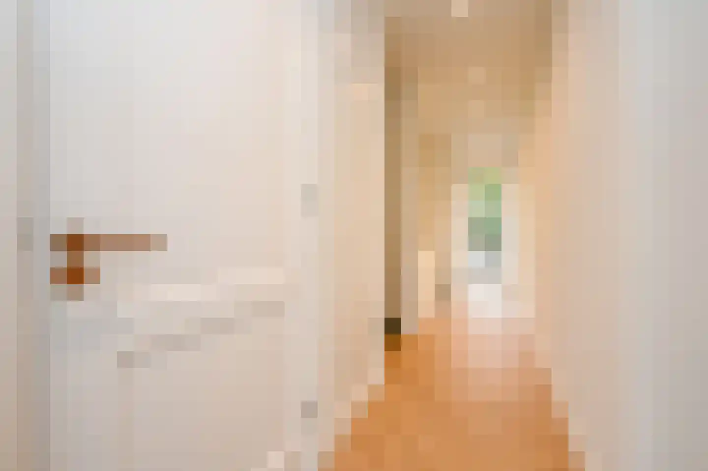 Loosduinse Hoofdstraat 113 Den Haag thumbnail 19