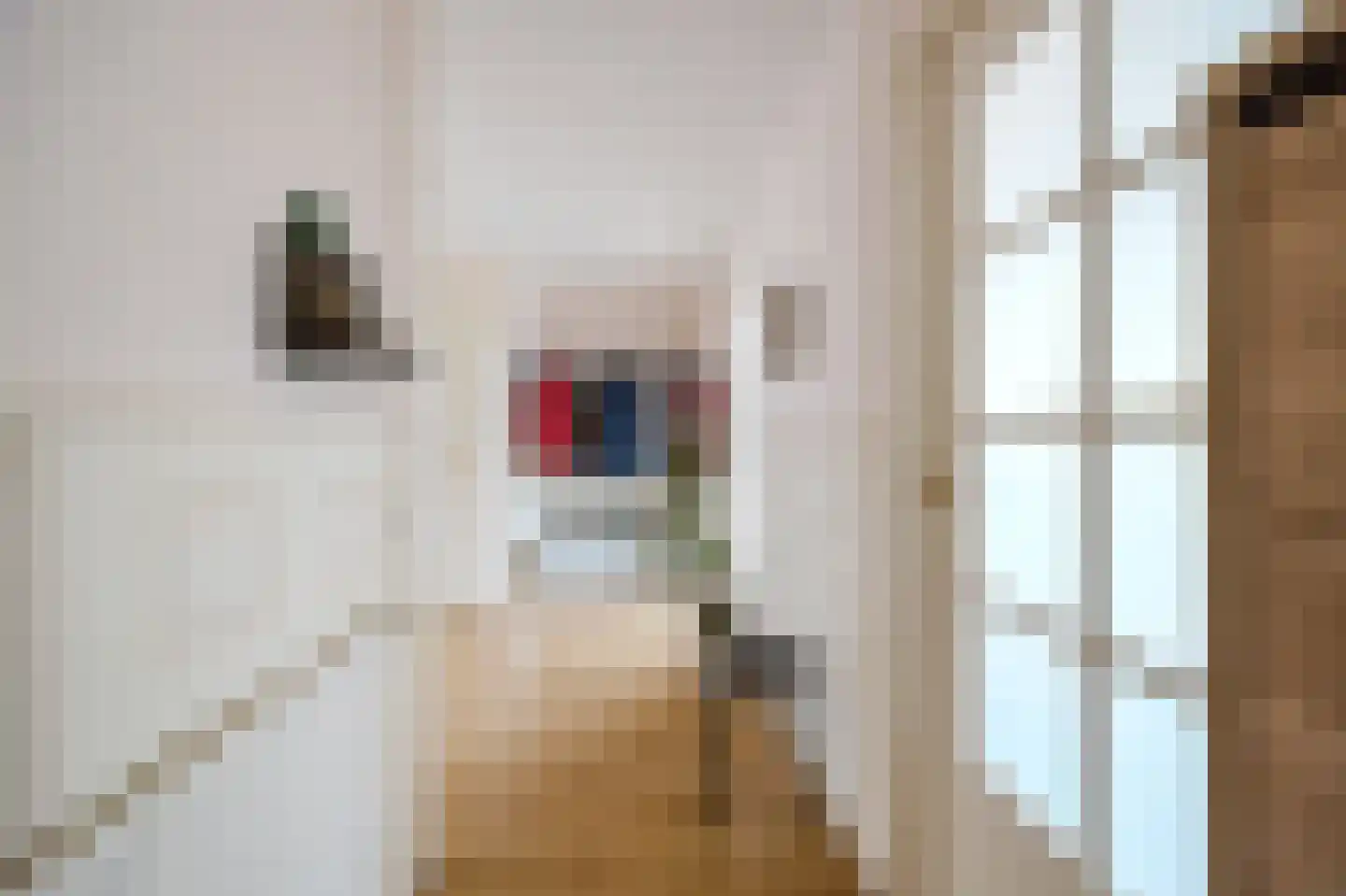 Loosduinse Hoofdstraat 123 Den Haag thumbnail 5