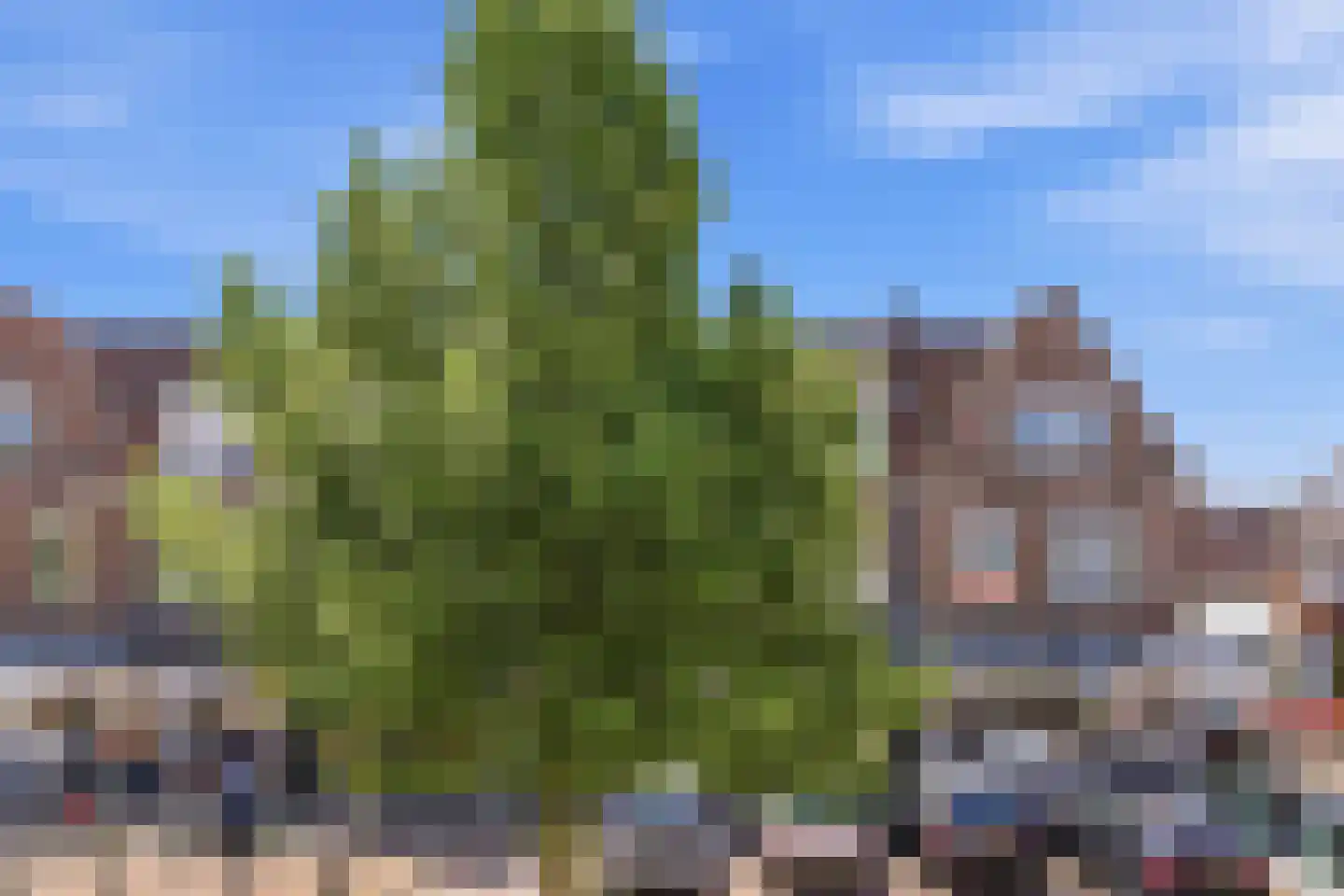 Loosduinse Hoofdstraat 217 Den Haag thumbnail 35