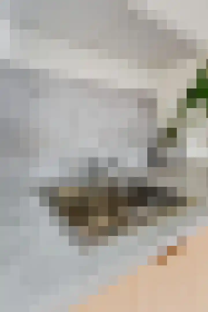 Loosduinse Hoofdstraat 223 Den Haag thumbnail 10