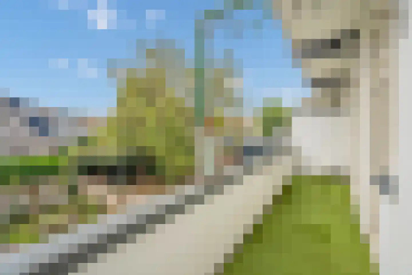 Loosduinse Hoofdstraat 74 Den Haag thumbnail 4