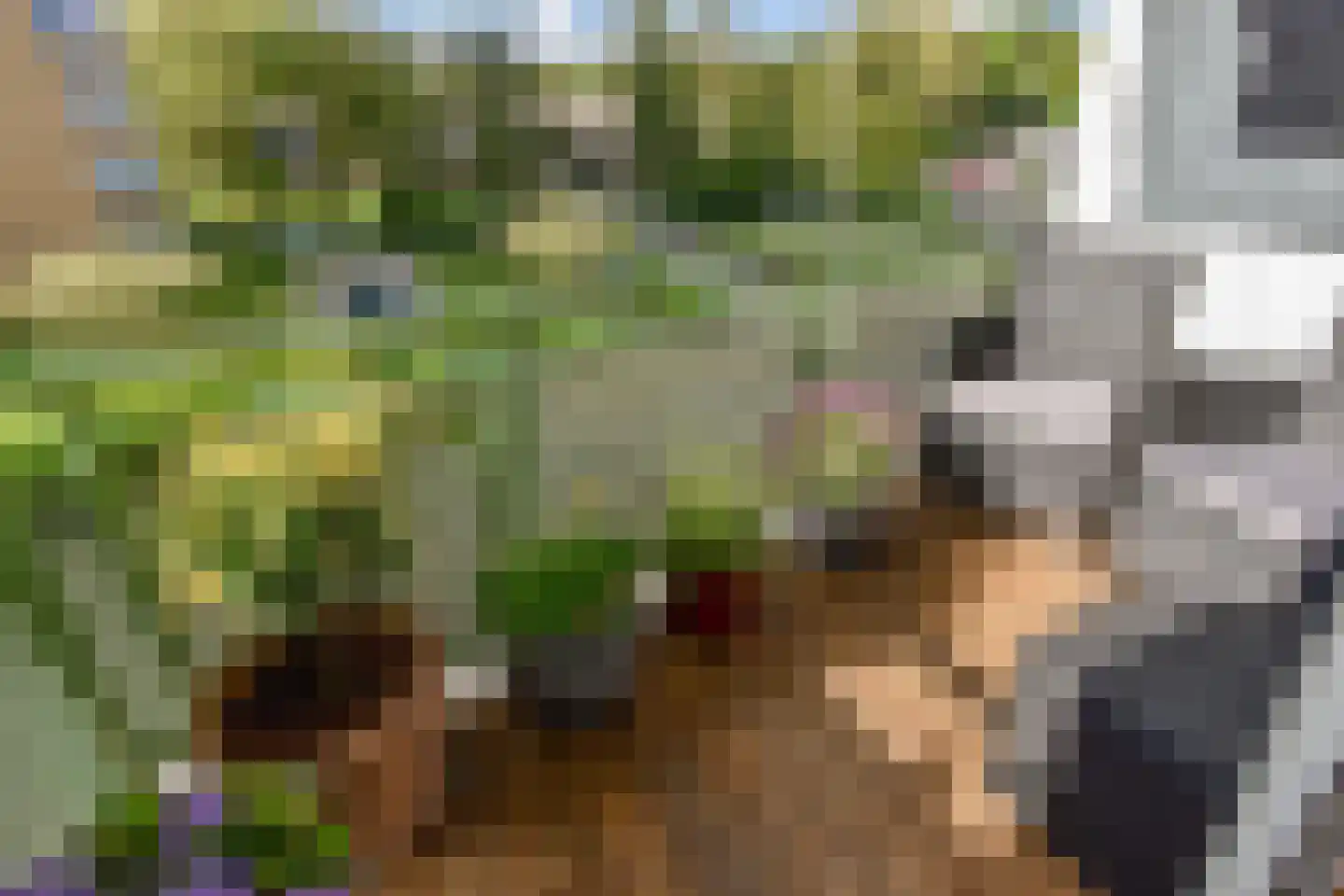 Loosduinse Uitleg 61 Den Haag thumbnail 10
