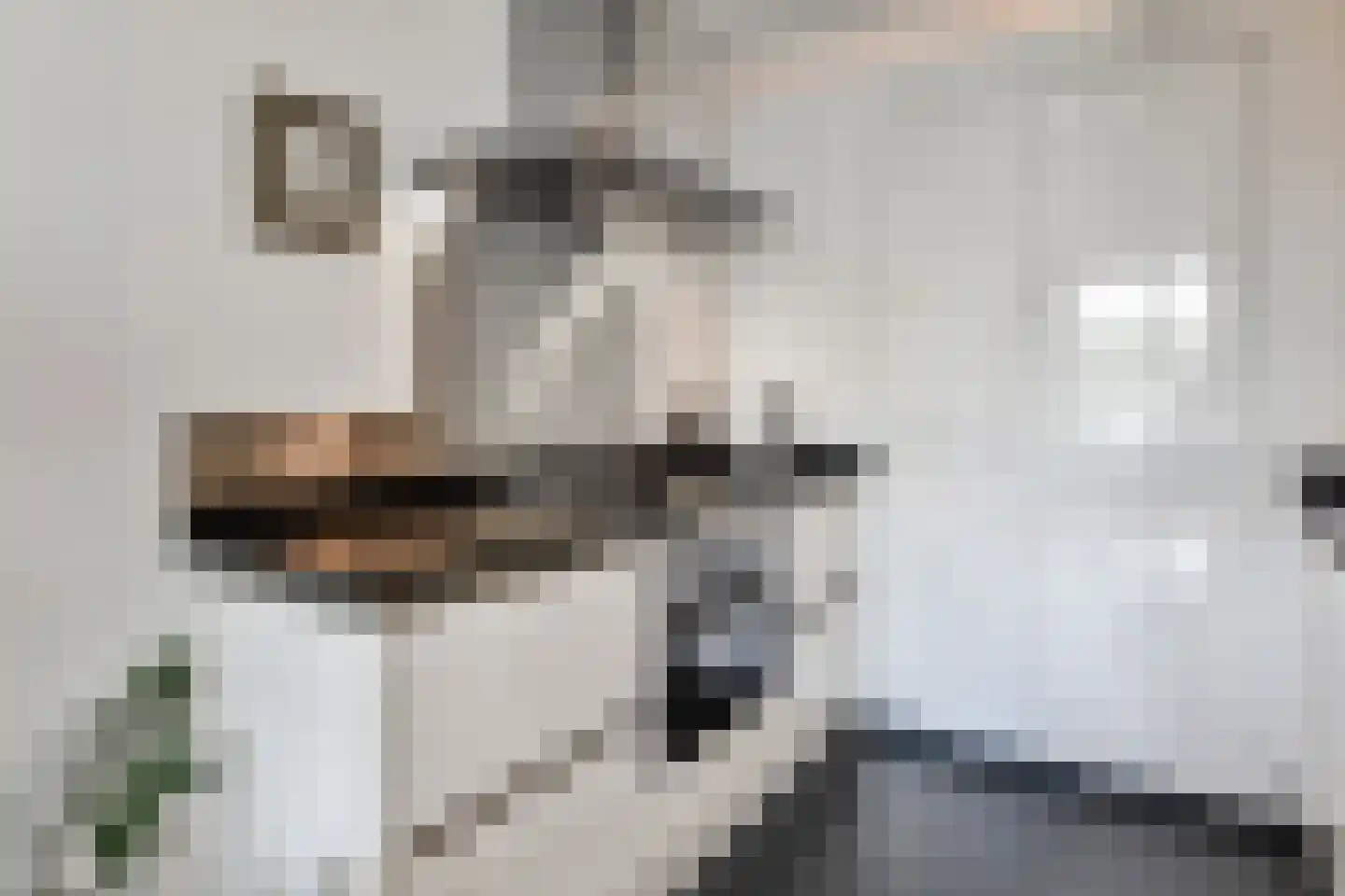 Loosduinse Uitleg 61 Den Haag thumbnail 13