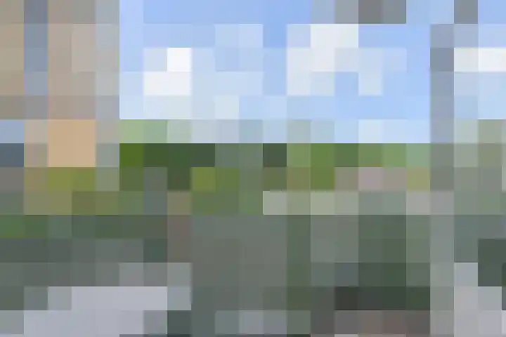 Loosduinse Uitleg 69 Den Haag thumbnail 11