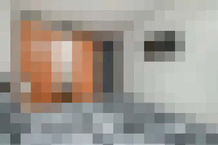 Loosduinse Uitleg 69 Den Haag thumbnail 14