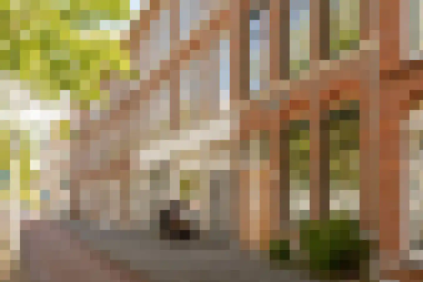 Loosduinsekade 126 B Den Haag thumbnail 6