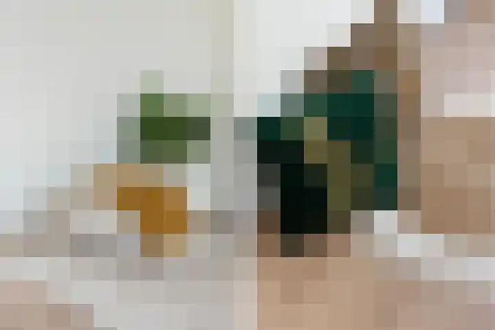 Loosduinsekade 166 A Den Haag thumbnail 10