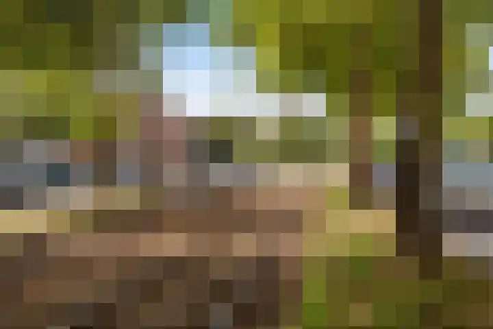 Loosduinsekade 166 B Den Haag thumbnail 18