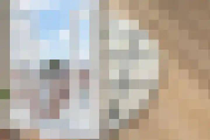 Loosduinsekade 166 B Den Haag thumbnail 8