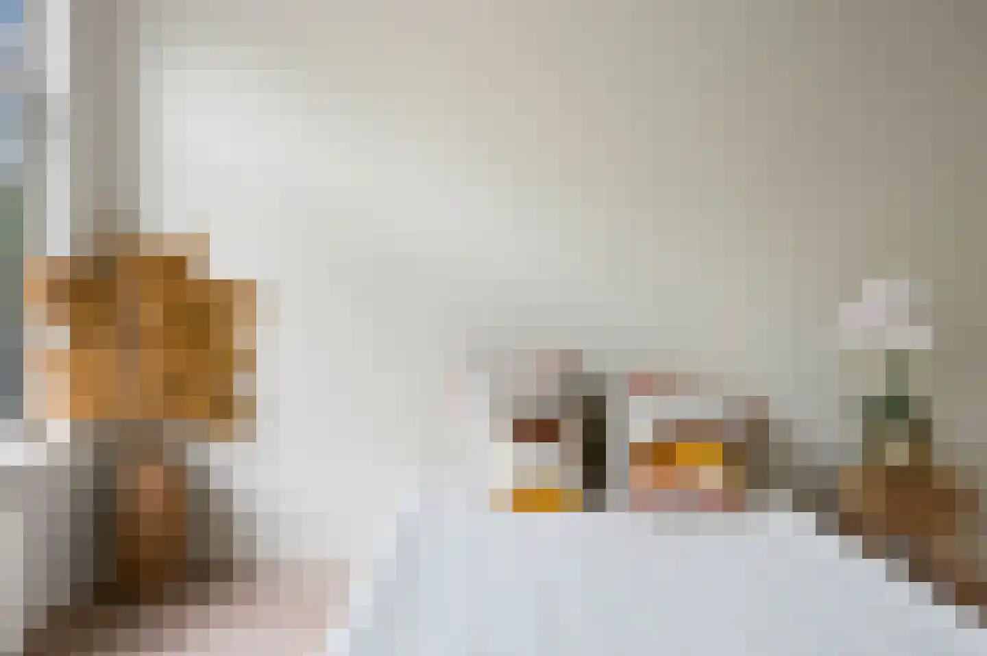 Loosduinsekade 166 Den Haag thumbnail 15