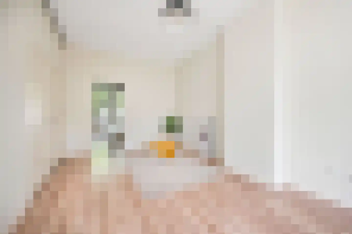 Loosduinsekade 166 Den Haag thumbnail 6