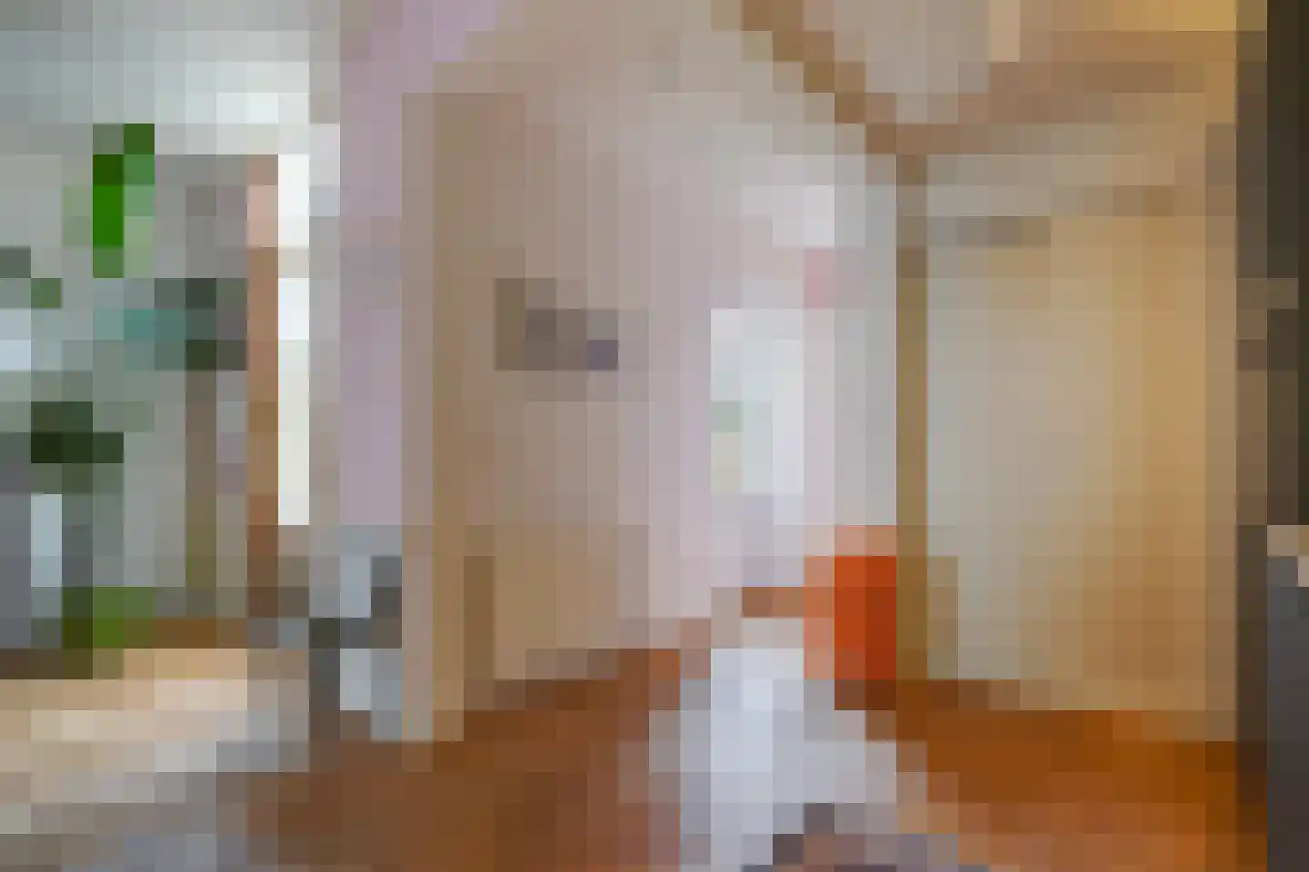 Loosduinsekade 197 Den Haag thumbnail 13