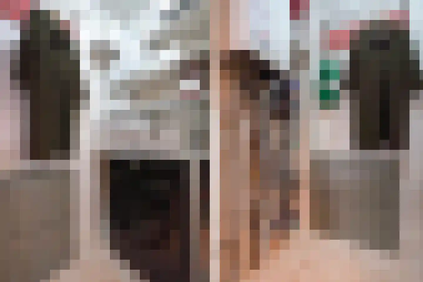 Loosduinsekade 197 Den Haag thumbnail 14