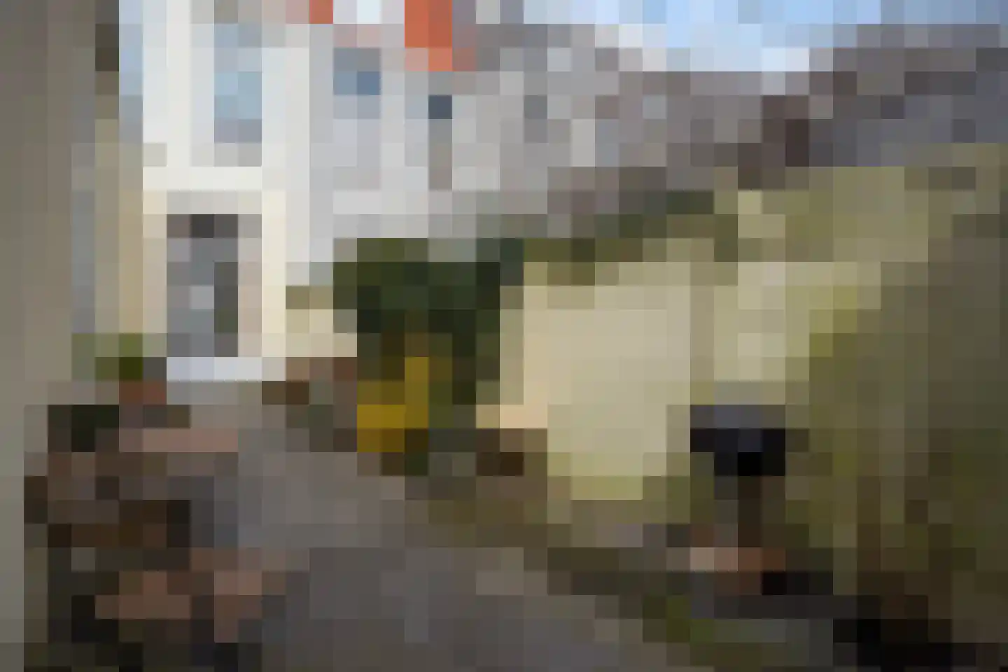 Loosduinsekade 197 Den Haag thumbnail 16