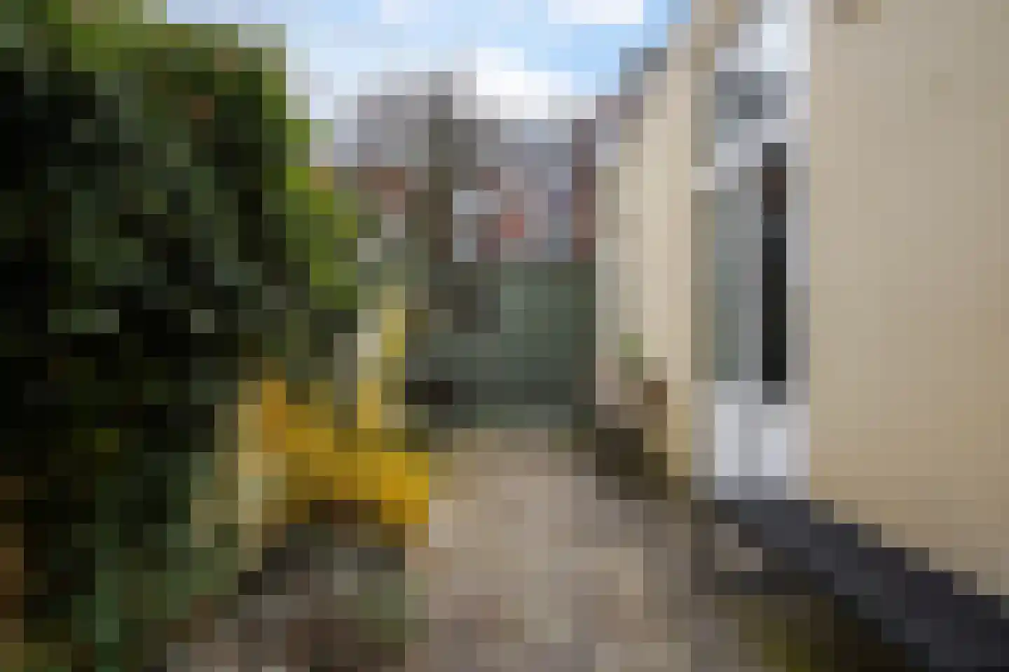 Loosduinsekade 197 Den Haag thumbnail 17