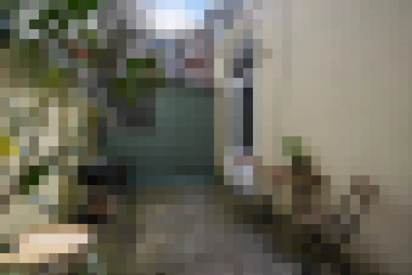 Loosduinsekade 197 Den Haag thumbnail 21