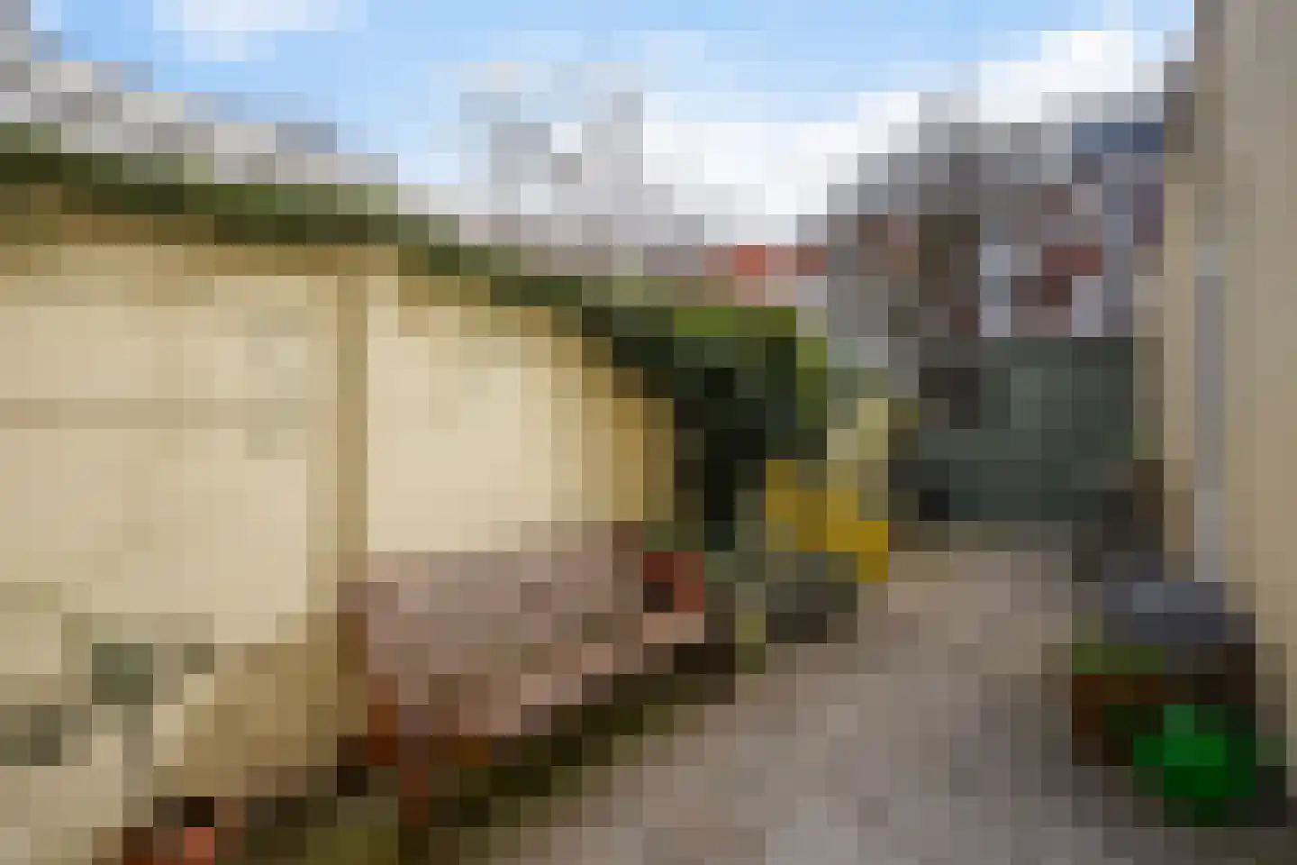 Loosduinsekade 197 Den Haag thumbnail 4