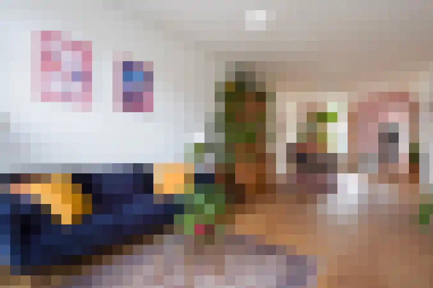 Loosduinsekade 197 Den Haag thumbnail 8