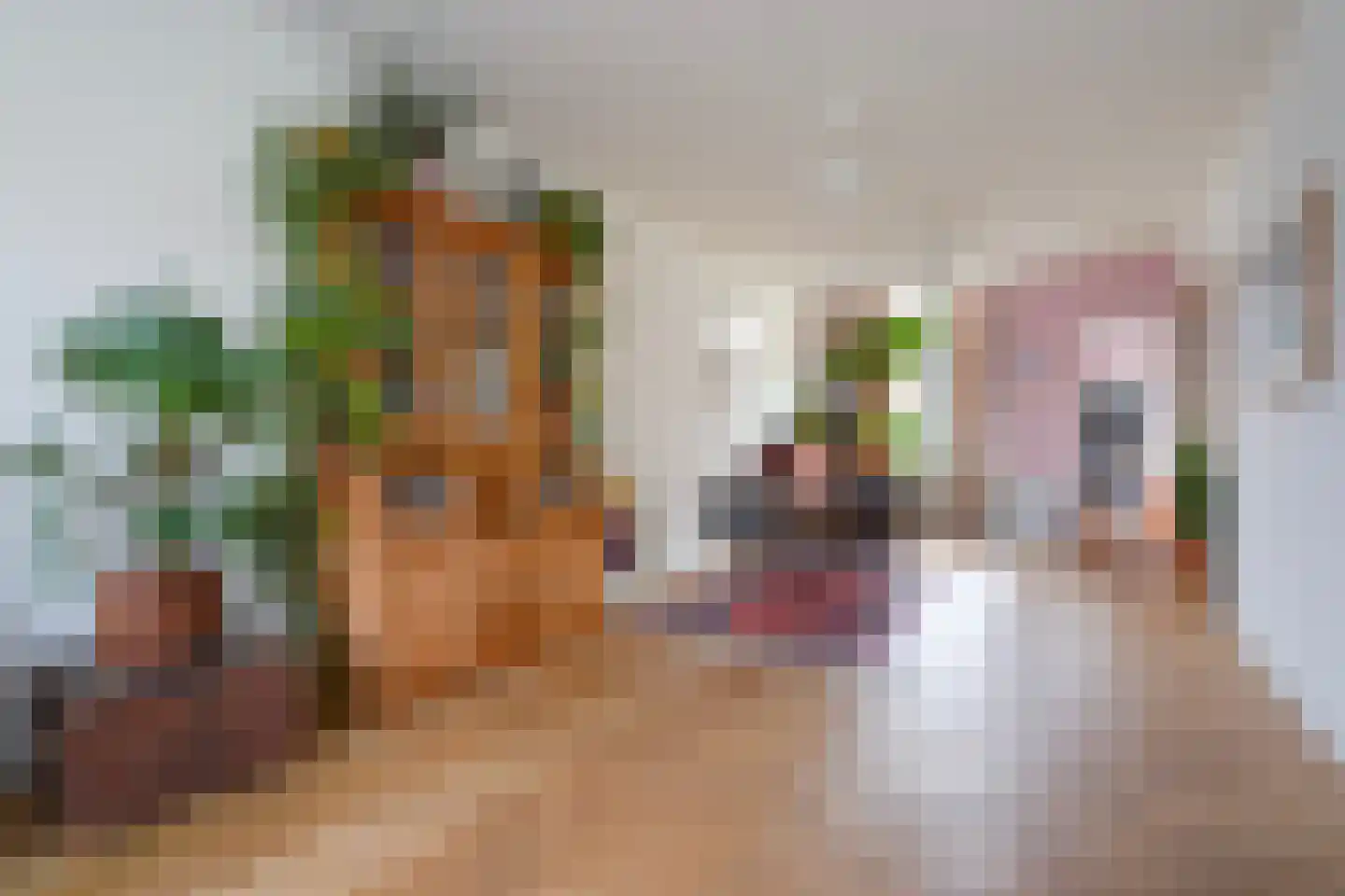 Loosduinsekade 197 Den Haag thumbnail 9
