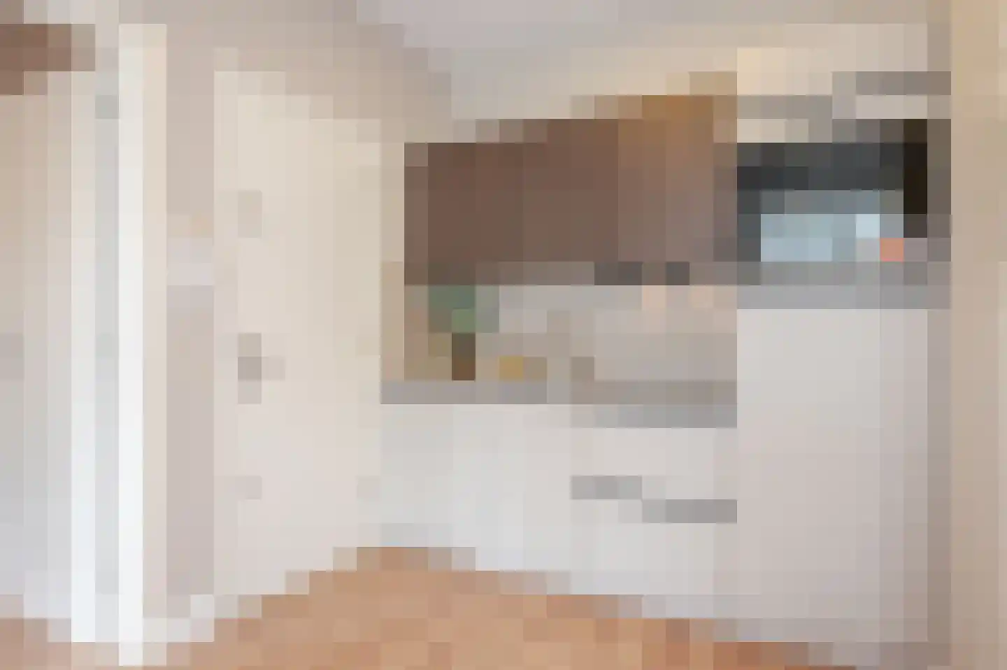 Loosduinsekade 21 B Den Haag thumbnail 6