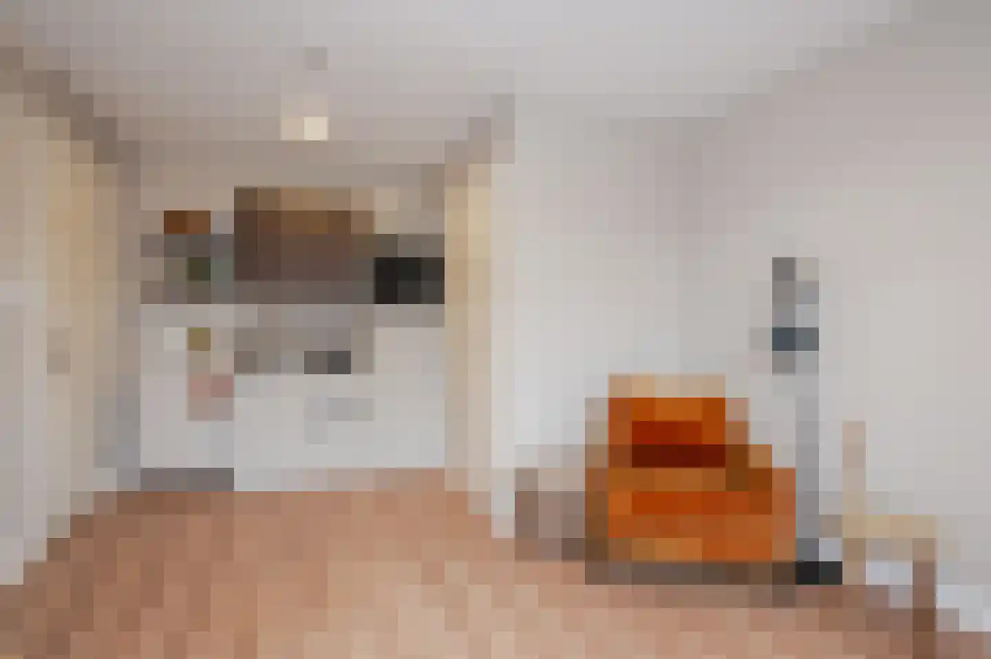 Loosduinsekade 21 D Den Haag thumbnail 10