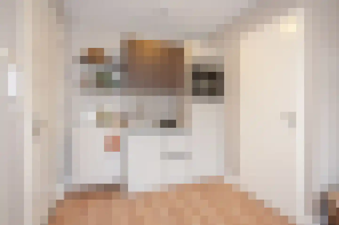 Loosduinsekade 21 D Den Haag thumbnail 6