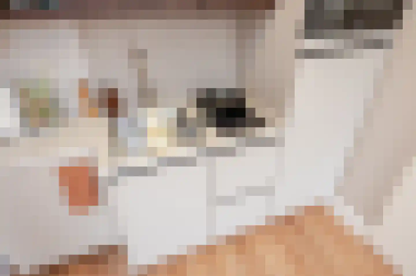 Loosduinsekade 21 D Den Haag thumbnail 7