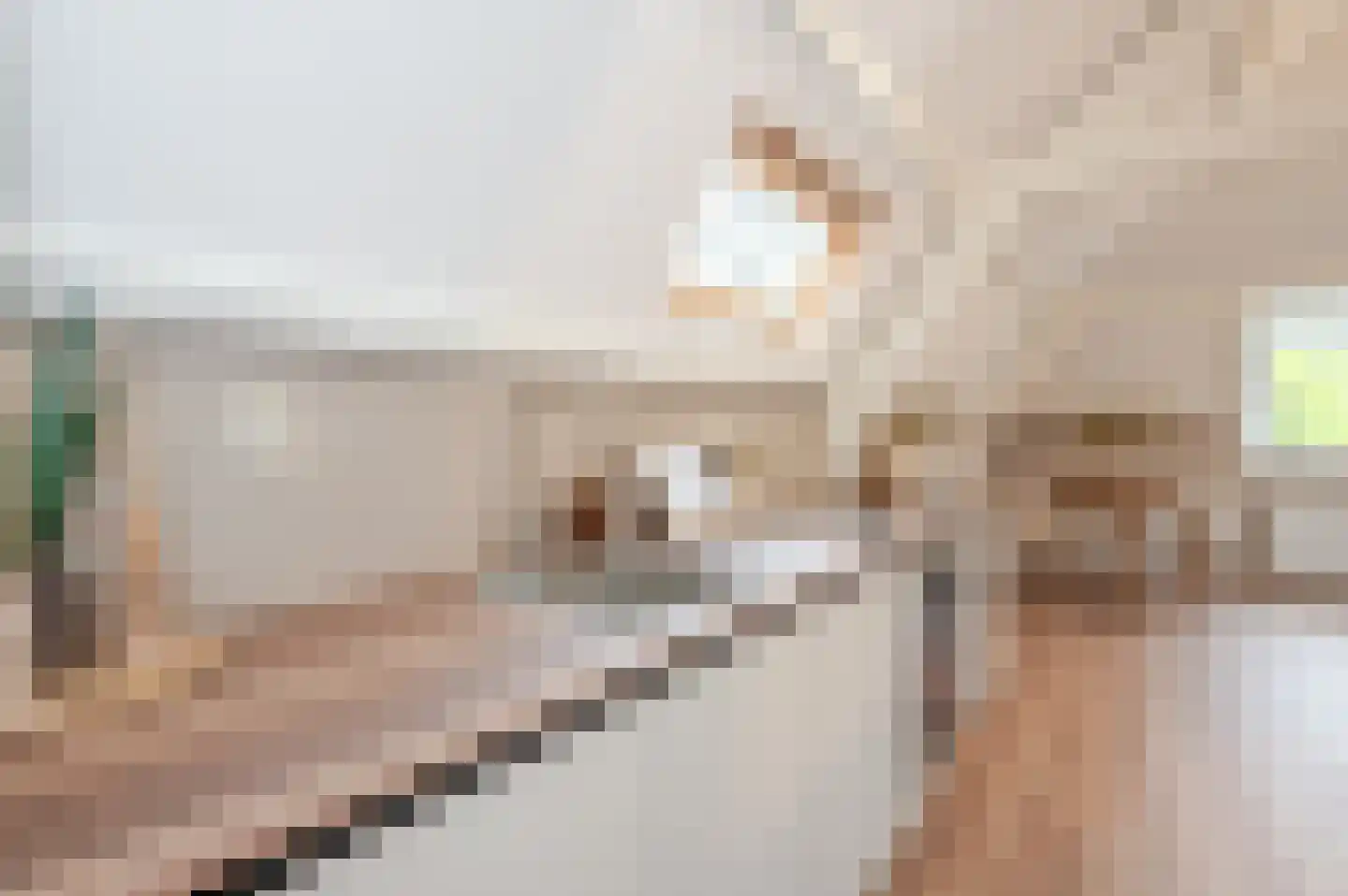 Loosduinsekade 21 E Den Haag thumbnail 10