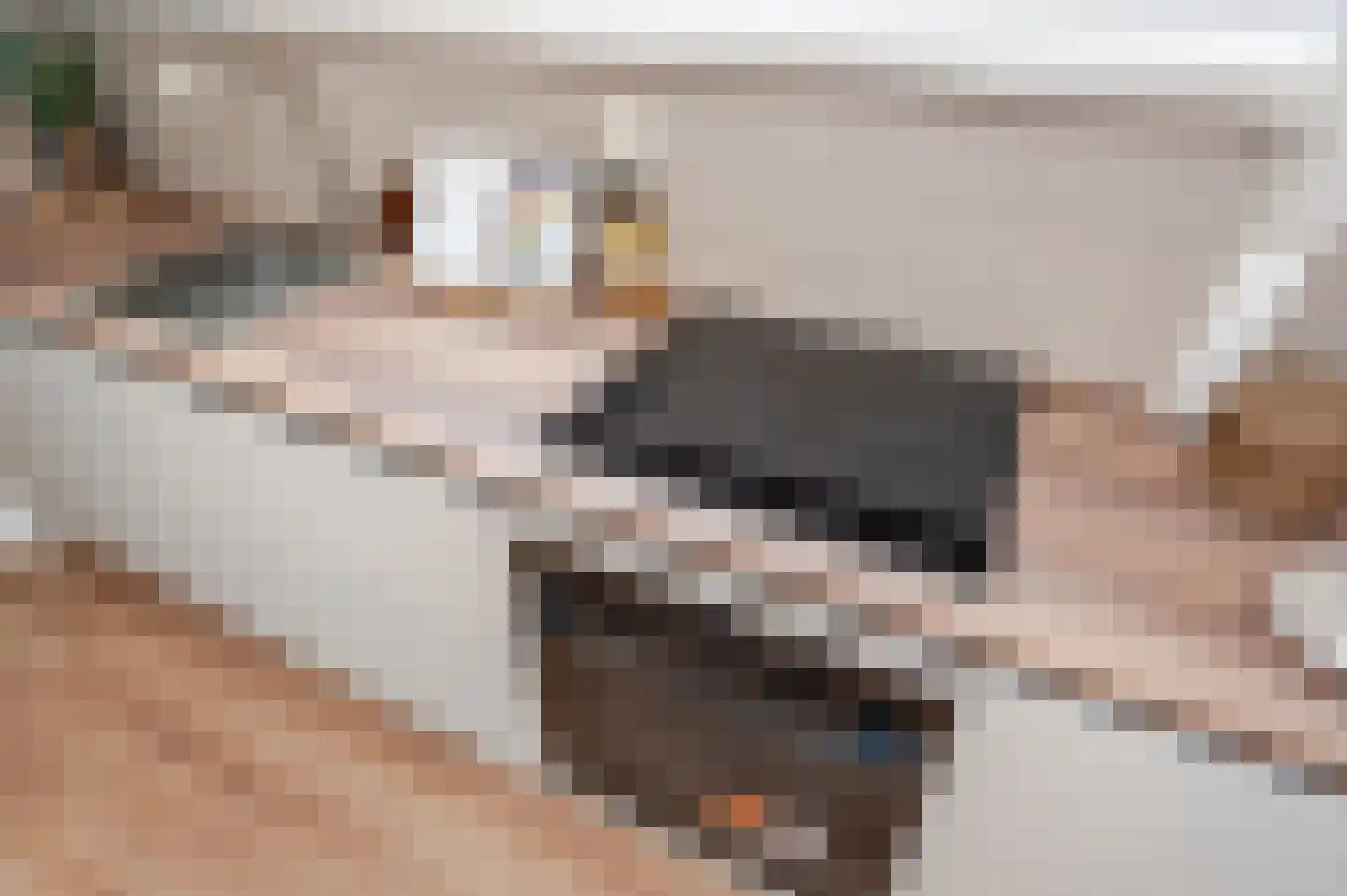 Loosduinsekade 21 E Den Haag thumbnail 11