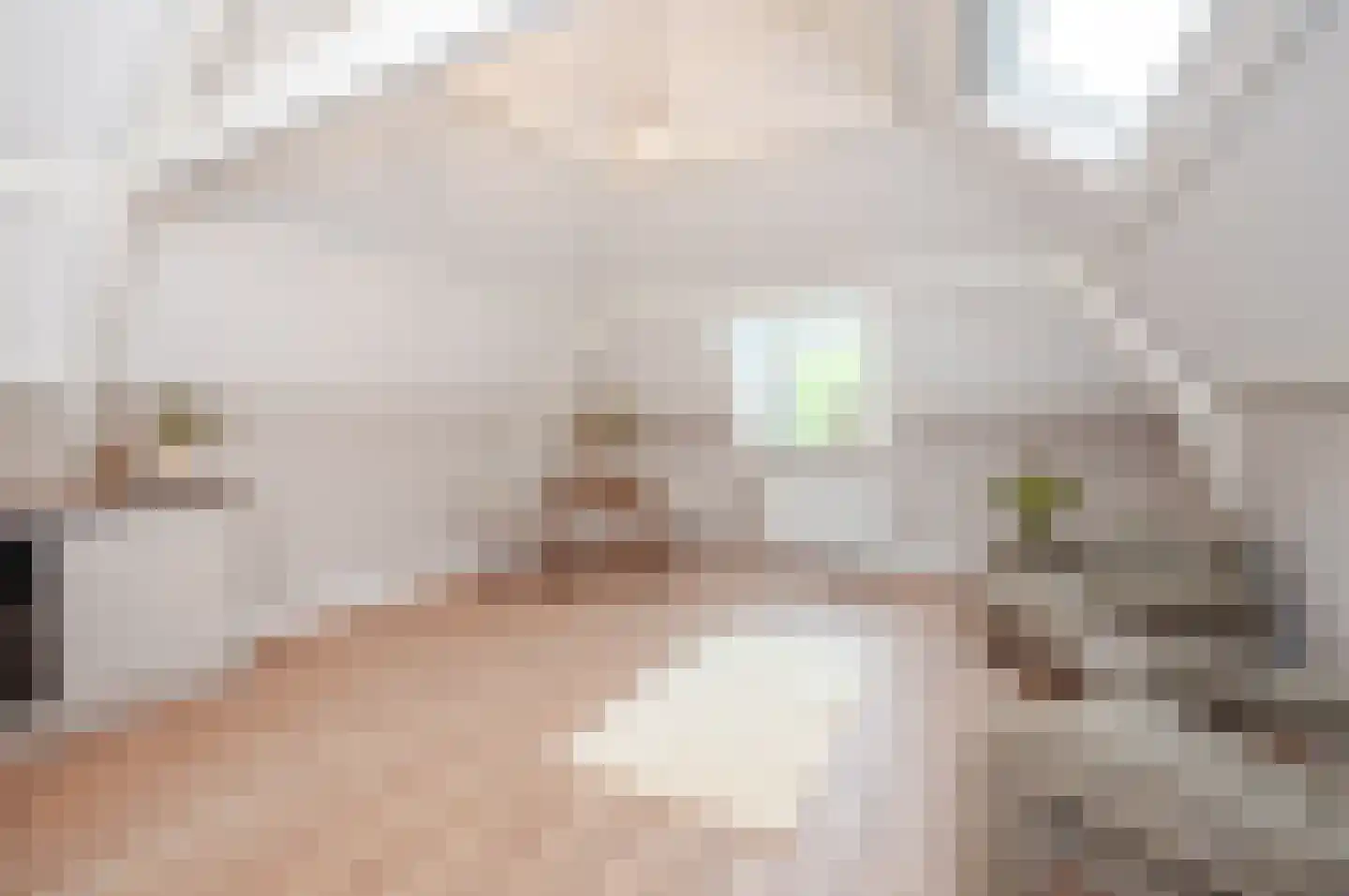 Loosduinsekade 21 E Den Haag thumbnail 12