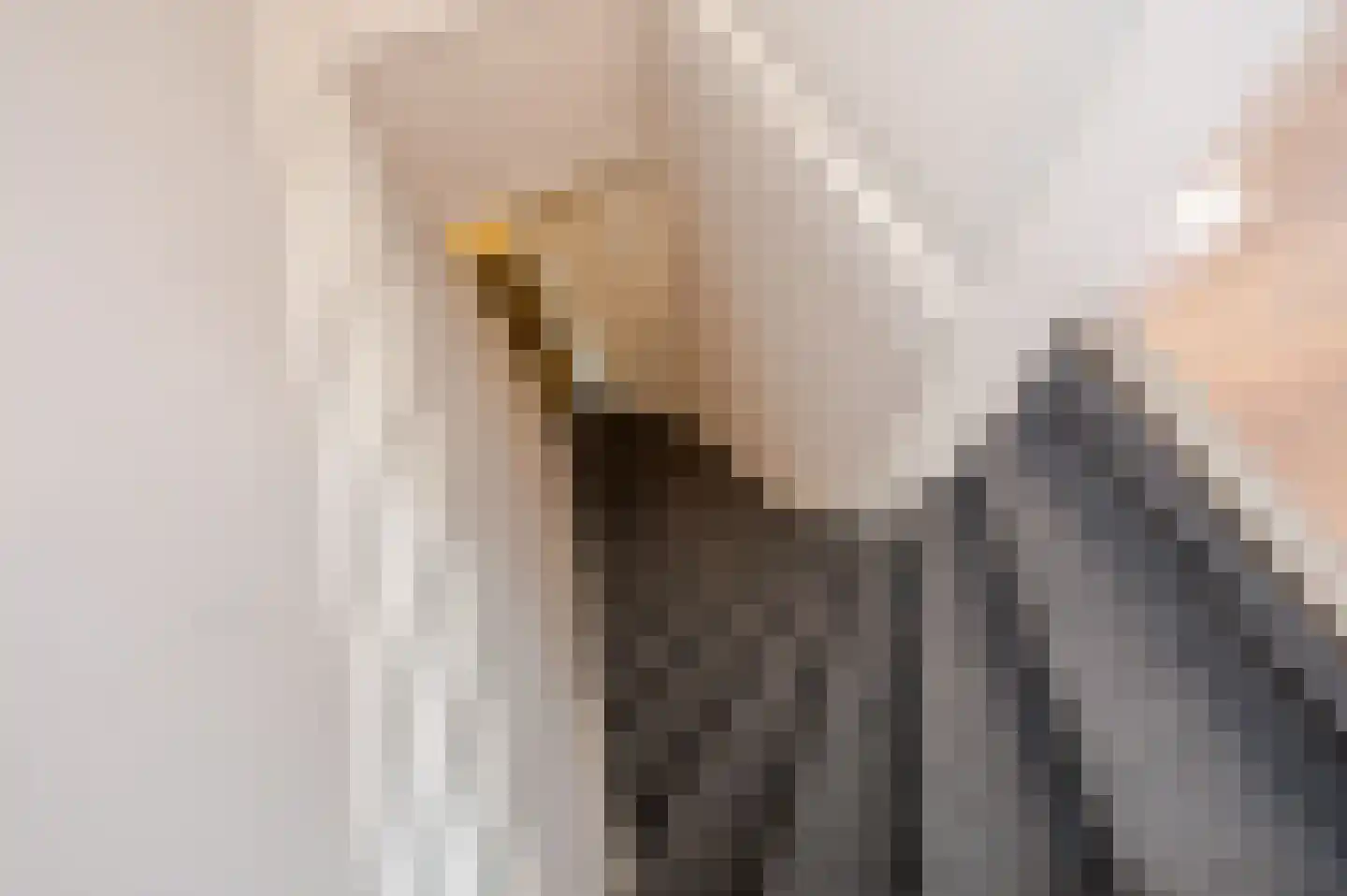 Loosduinsekade 21 E Den Haag thumbnail 6
