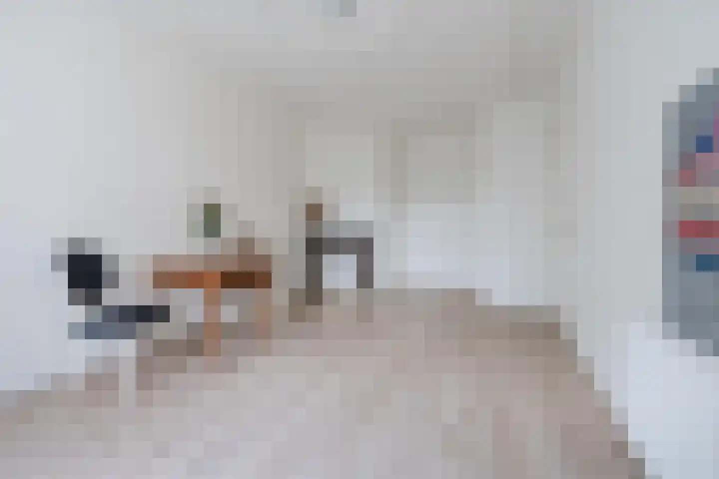 Loosduinsekade 233 Den Haag thumbnail 10