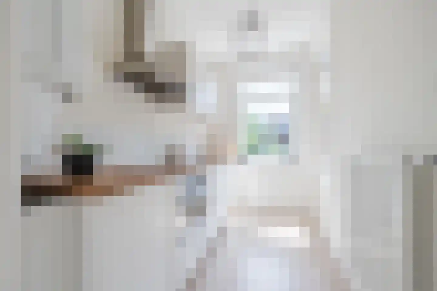 Loosduinsekade 233 Den Haag thumbnail 4