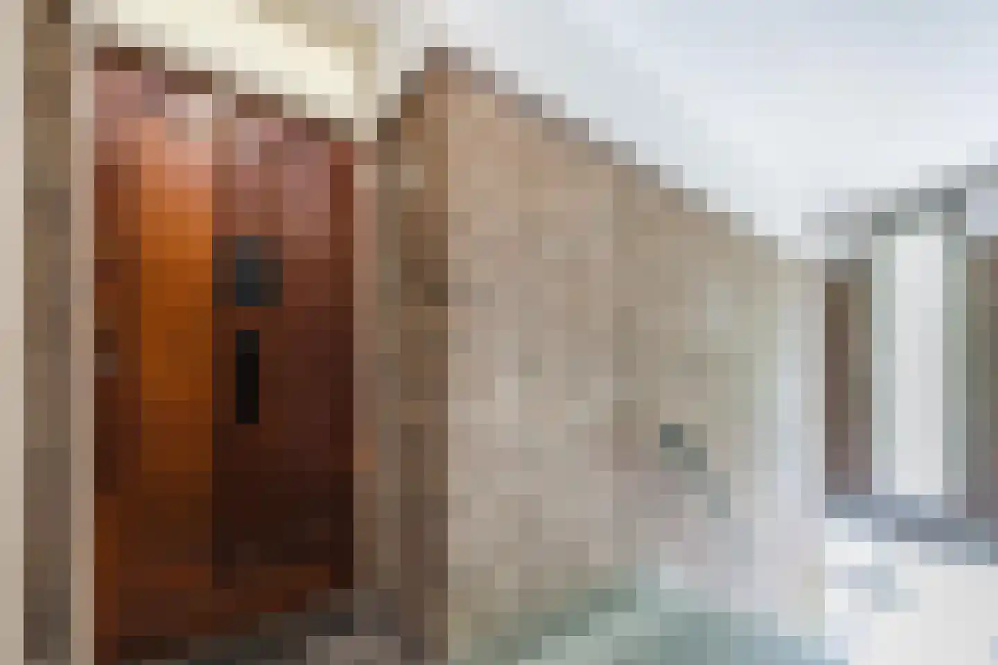 Loosduinsekade 233 Den Haag thumbnail 7