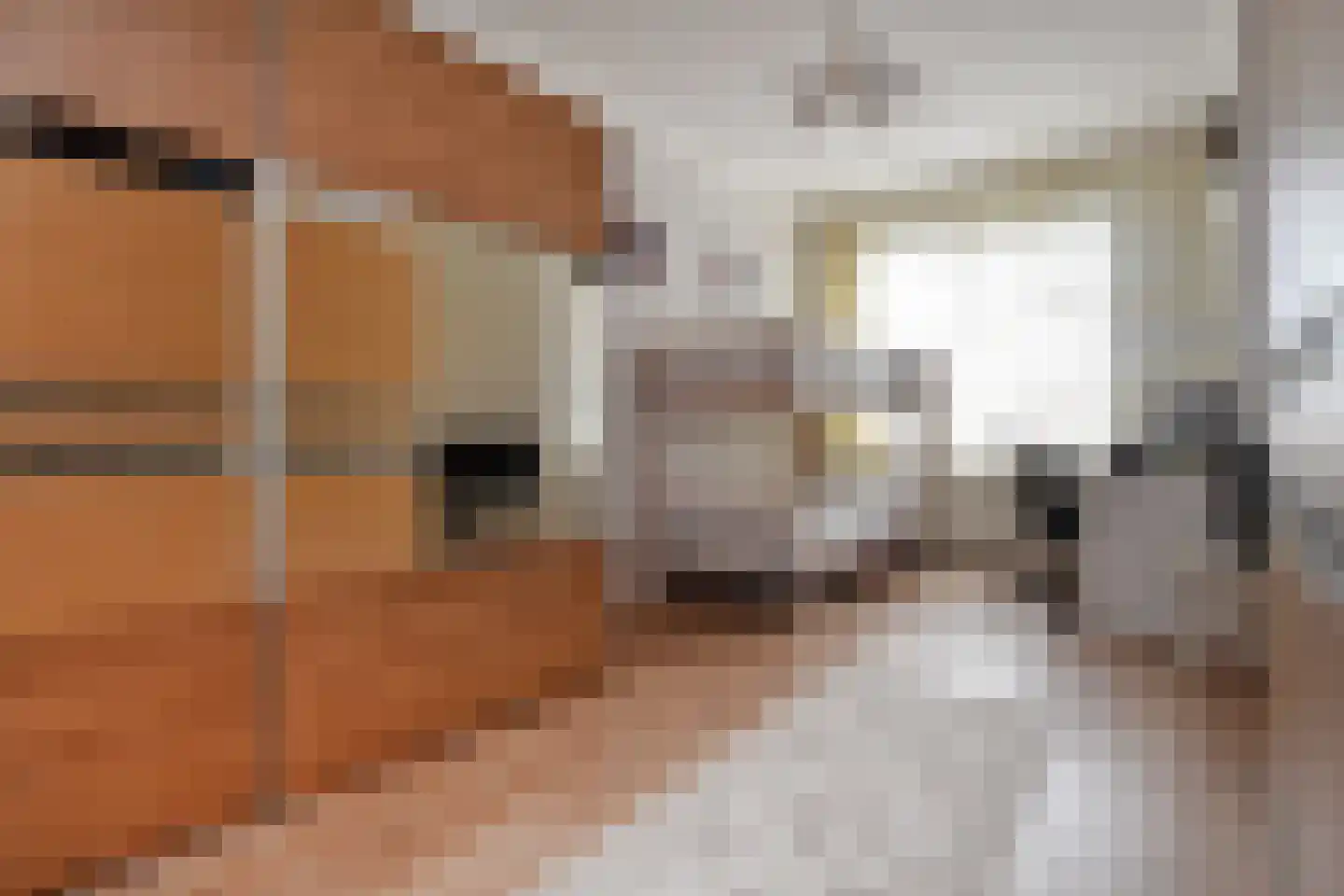 Loosduinsekade 261 Den Haag thumbnail 17