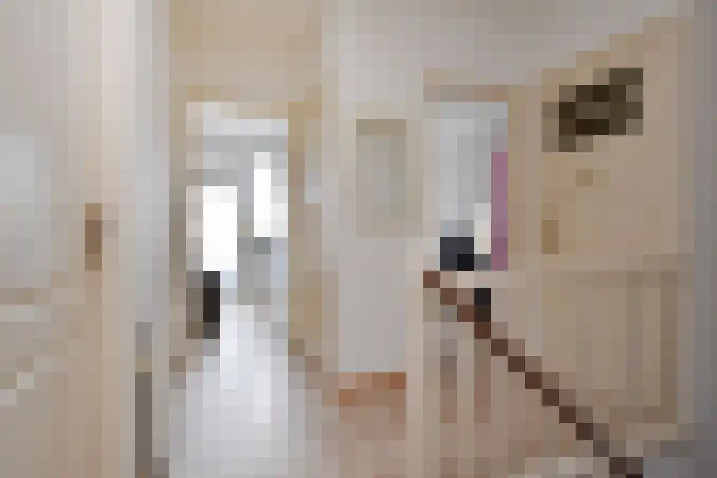 Loosduinsekade 261 Den Haag thumbnail 6