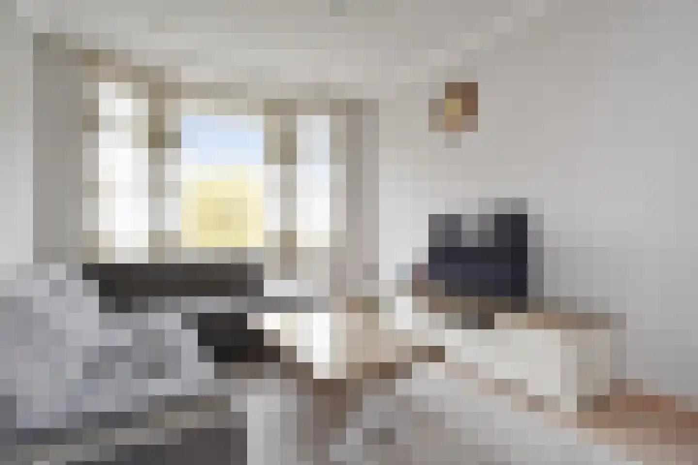 Loosduinsekade 261 Den Haag thumbnail 7