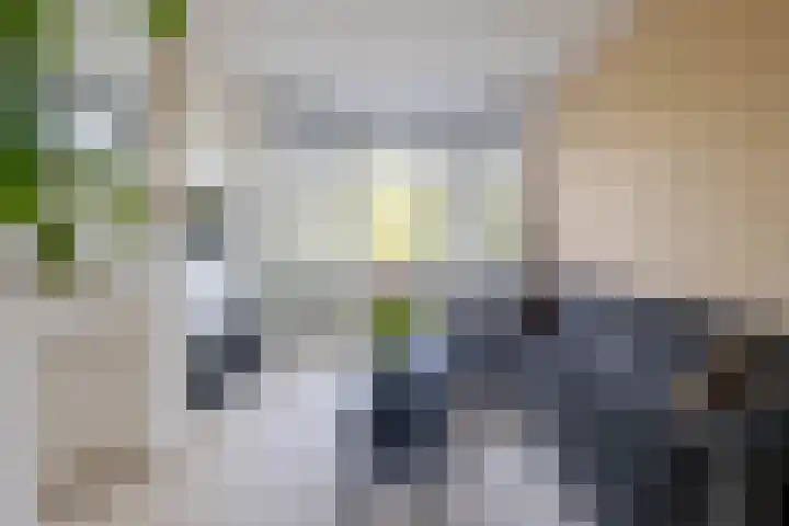 Loosduinsekade 262 Den Haag thumbnail 12