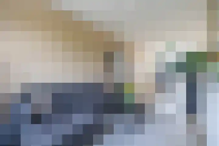 Loosduinsekade 262 Den Haag thumbnail 14