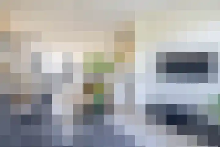 Loosduinsekade 262 Den Haag thumbnail 15