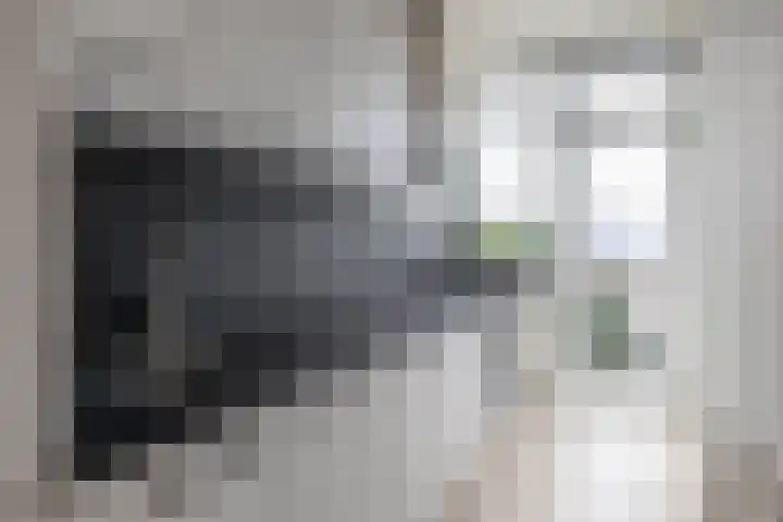 Loosduinsekade 262 Den Haag thumbnail 19