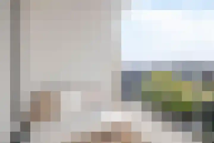 Loosduinsekade 262 Den Haag thumbnail 22
