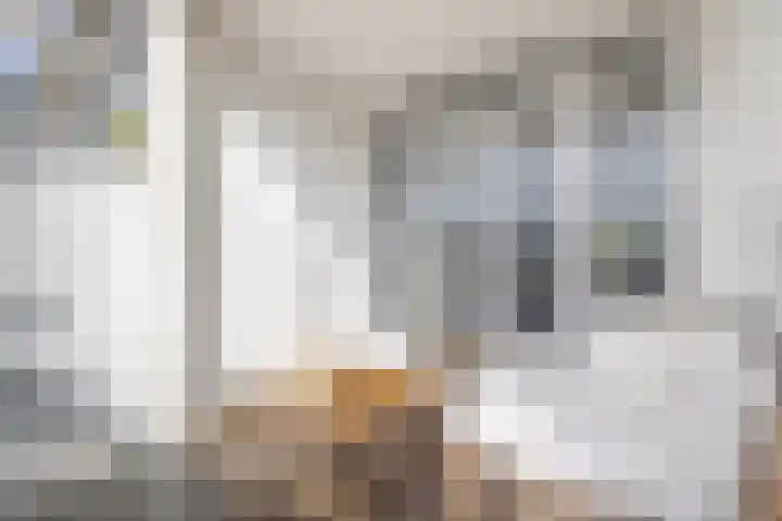 Loosduinsekade 262 Den Haag thumbnail 24