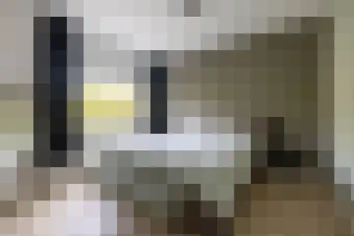 Loosduinsekade 262 Den Haag thumbnail 26