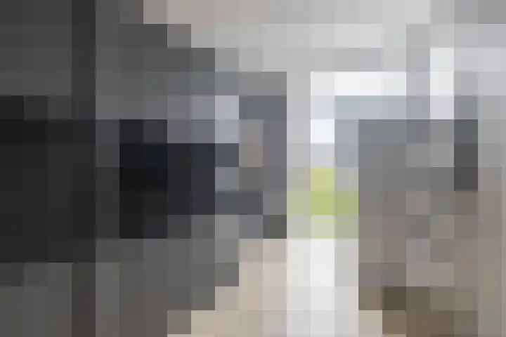 Loosduinsekade 262 Den Haag thumbnail 30