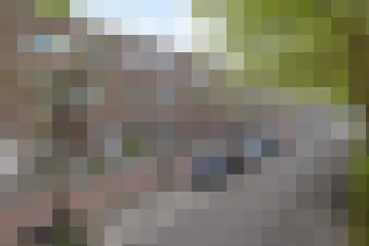 Loosduinsekade 262 Den Haag thumbnail 7