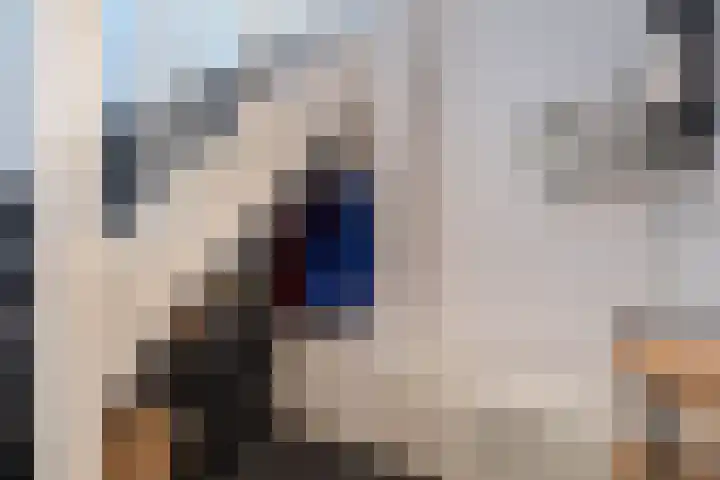 Loosduinsekade 262 Den Haag thumbnail 9