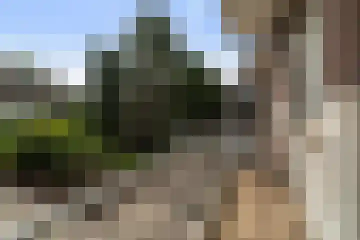 Loosduinsekade 281 Den Haag thumbnail 17