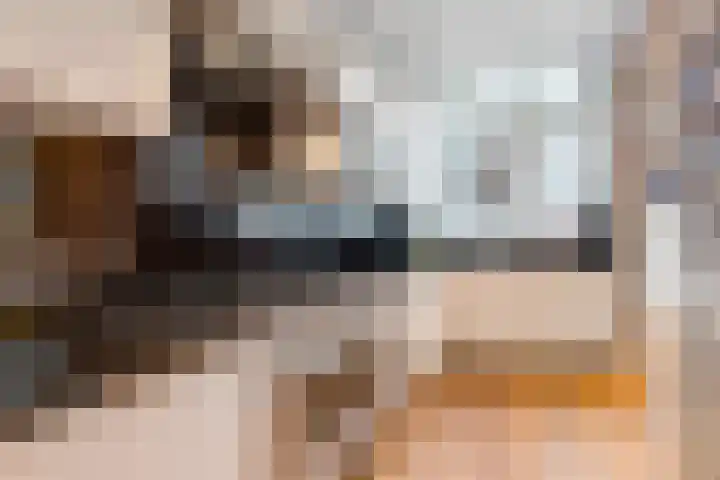 Loosduinsekade 30 Den Haag thumbnail 15