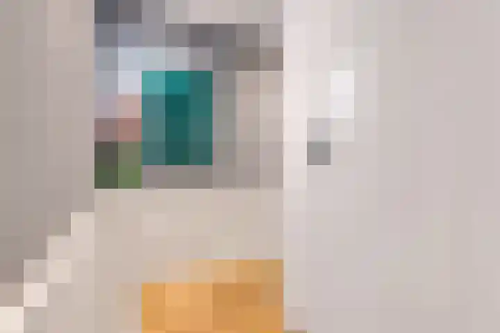 Loosduinsekade 30 Den Haag thumbnail 18